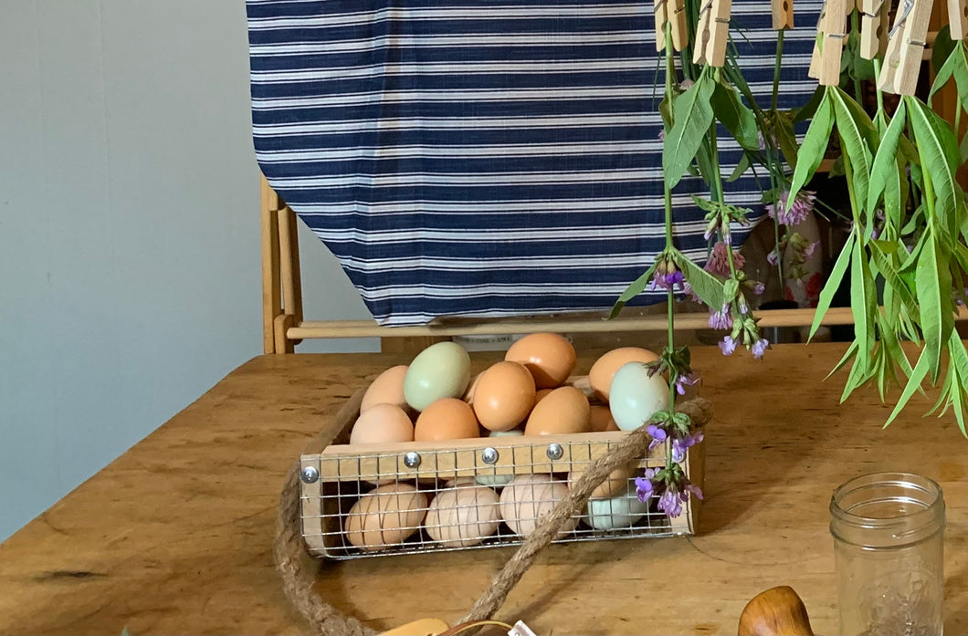 Egg Basket